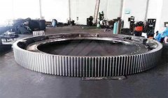 外齿圈 external spur ring gear